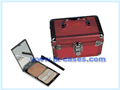 Cosmetic Cases
