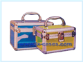 Cosmetic Cases